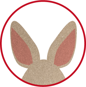新年の御挨拶🐇🌄