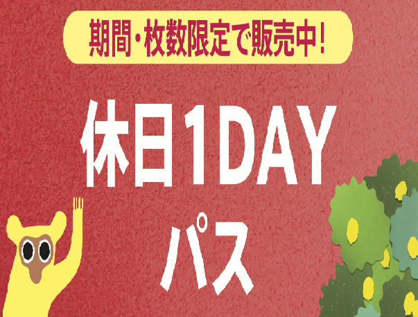 ☆休日1DAYパスのお知らせ☆
