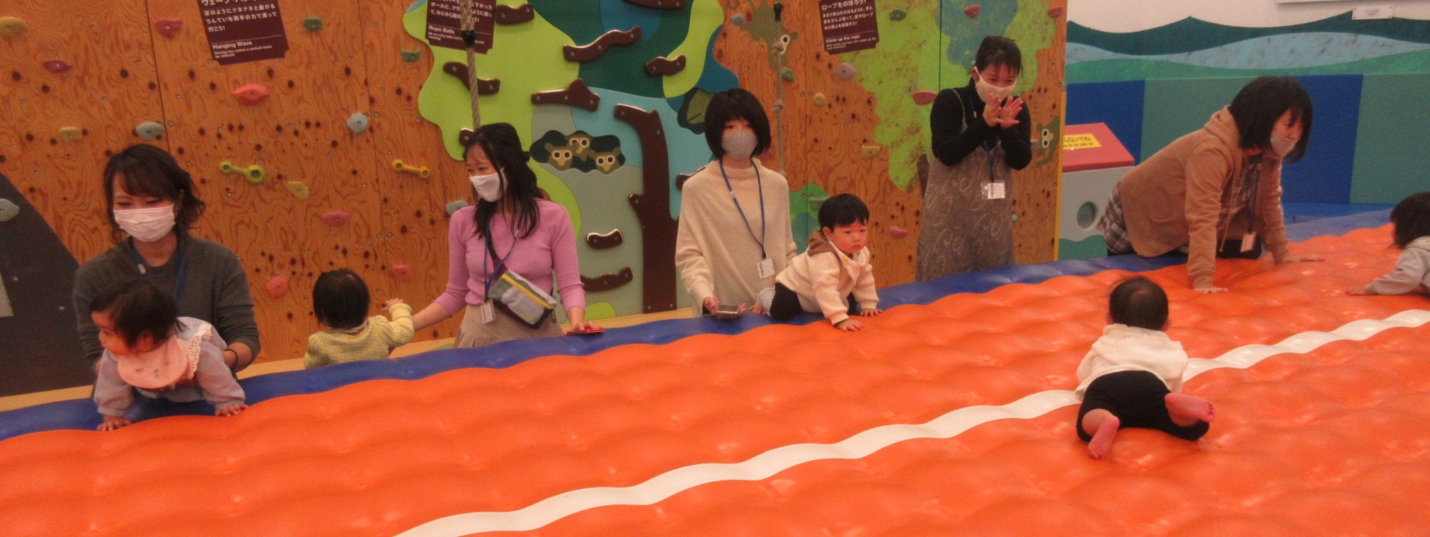 赤ちゃんイベント♪ハイハイレース