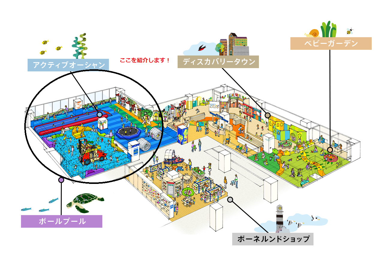 紹介！アクティブオーシャン