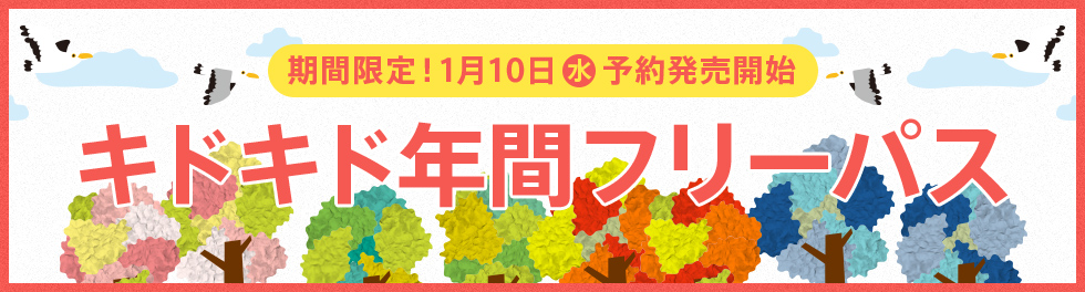 年間パス販売！