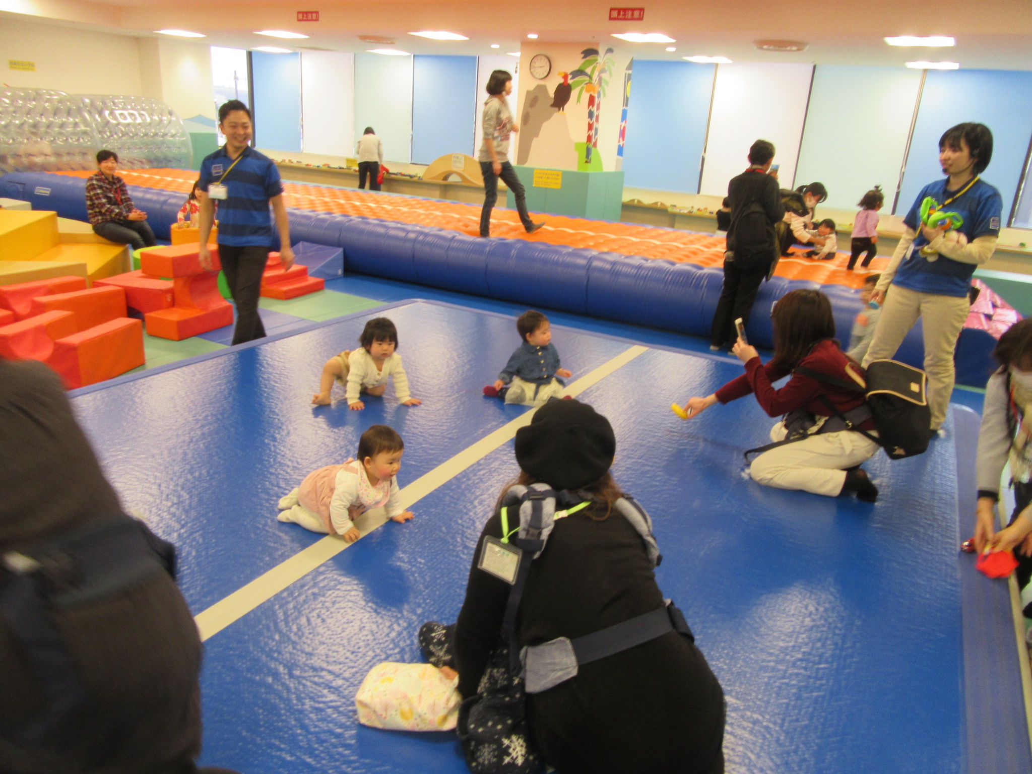 ハイハイレースしました！